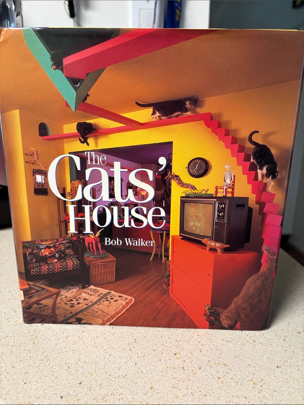 90s Vintage book The Cats' House by Bob Walker